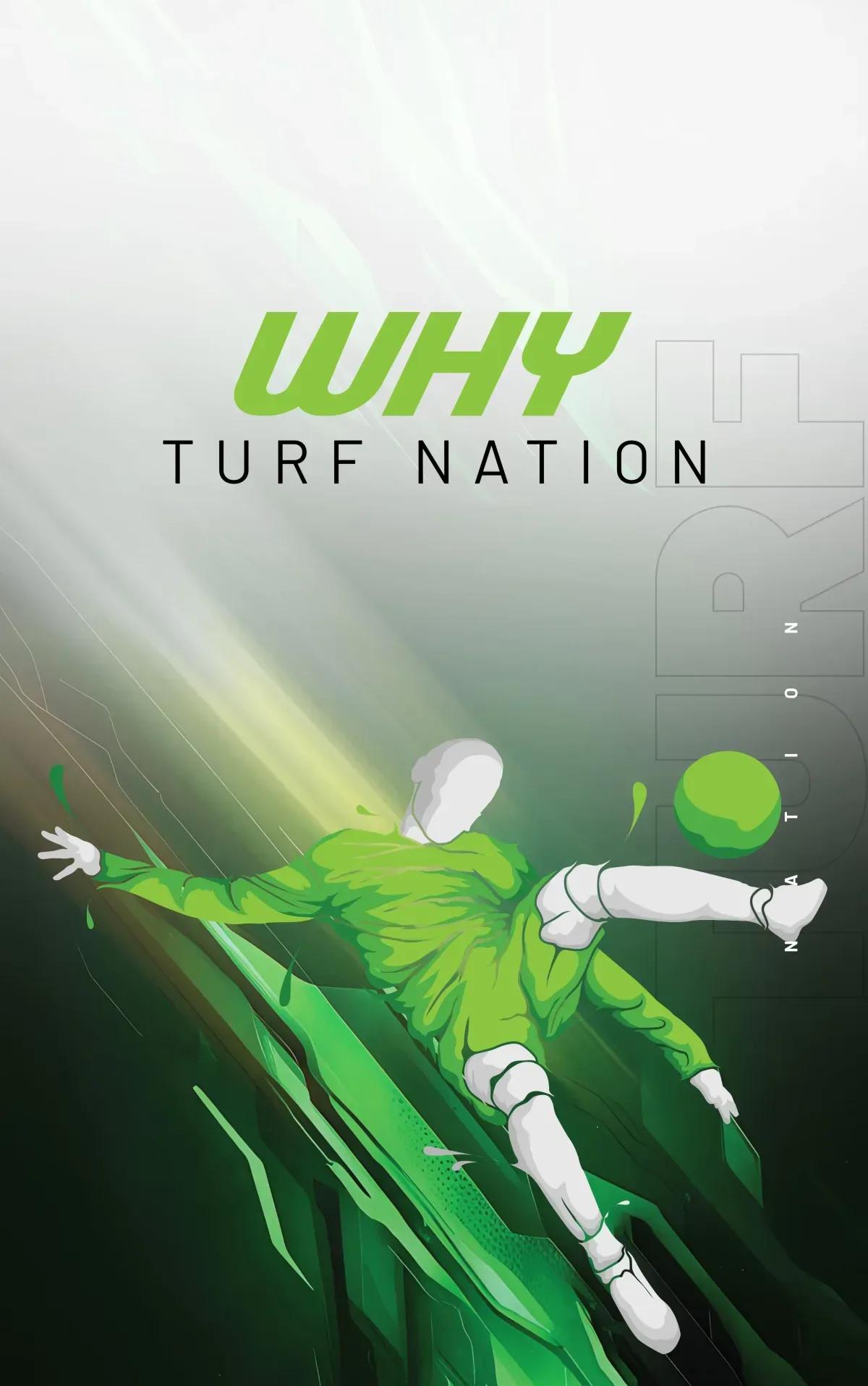 TurfNation — aerial view